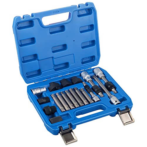DAYUAN 18pcs Alternator Pulley Removal Tool Kit, Service Decoupler Insert Bit Socket Set Generator Freewheel Removal